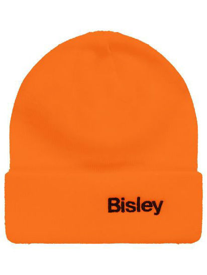 Picture of Bisley Bisley Beanie BBEAN55